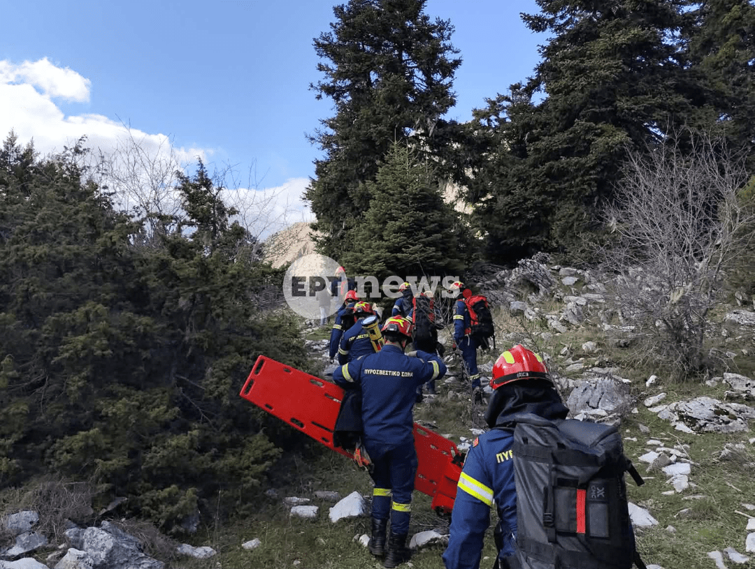 agrinio diaswsi3 e1775406906537.png