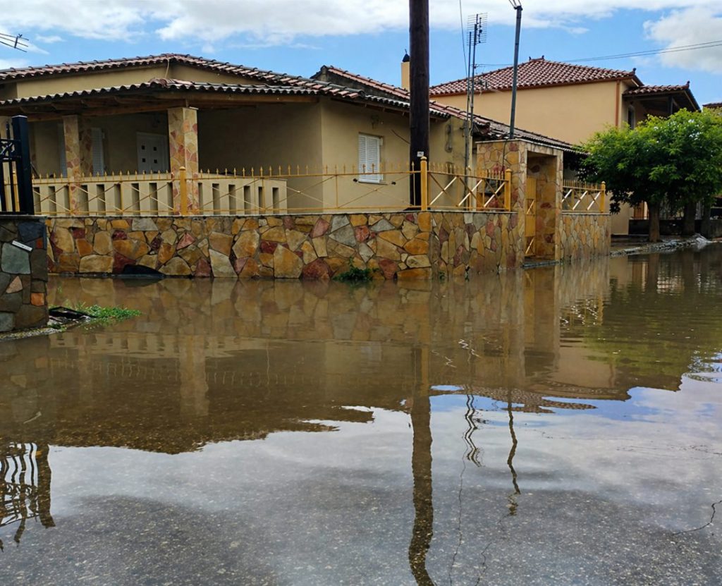 ampel plimmires e1777382612470.jpg