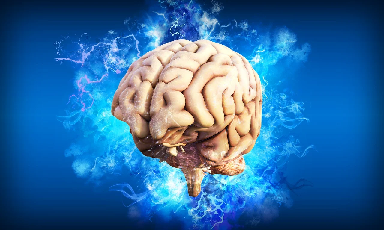 brain.webp