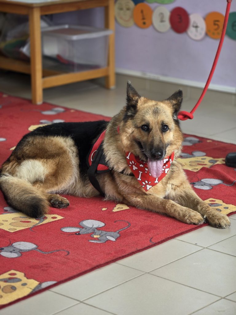 draseis zwa platanospelopio5