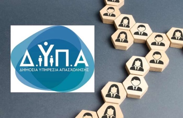dypa 1 768x496 1.jpg
