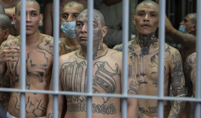 el salvador ms 13 scaled e1766353470500 768x451 1.jpg