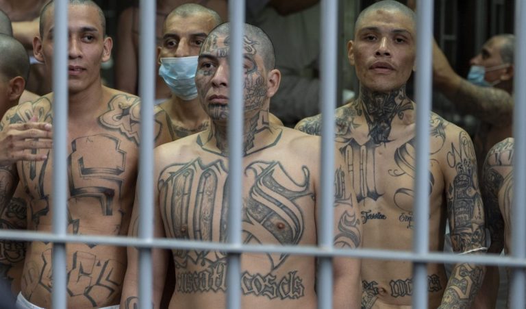 el salvador ms 13 scaled e1766353470500 768x451 1.jpg