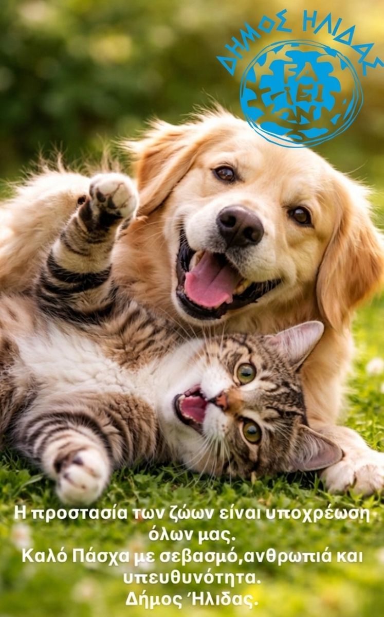 skulos gata adespota