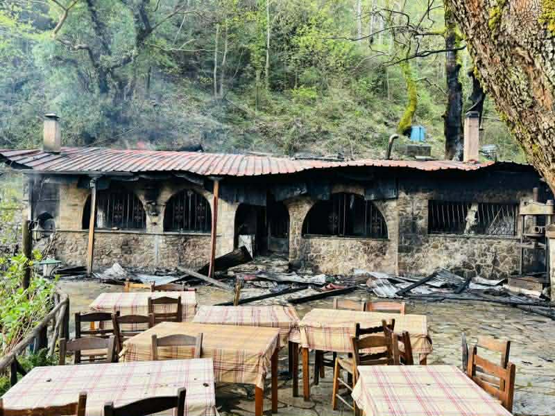 taverna fotia taigetos.jpg