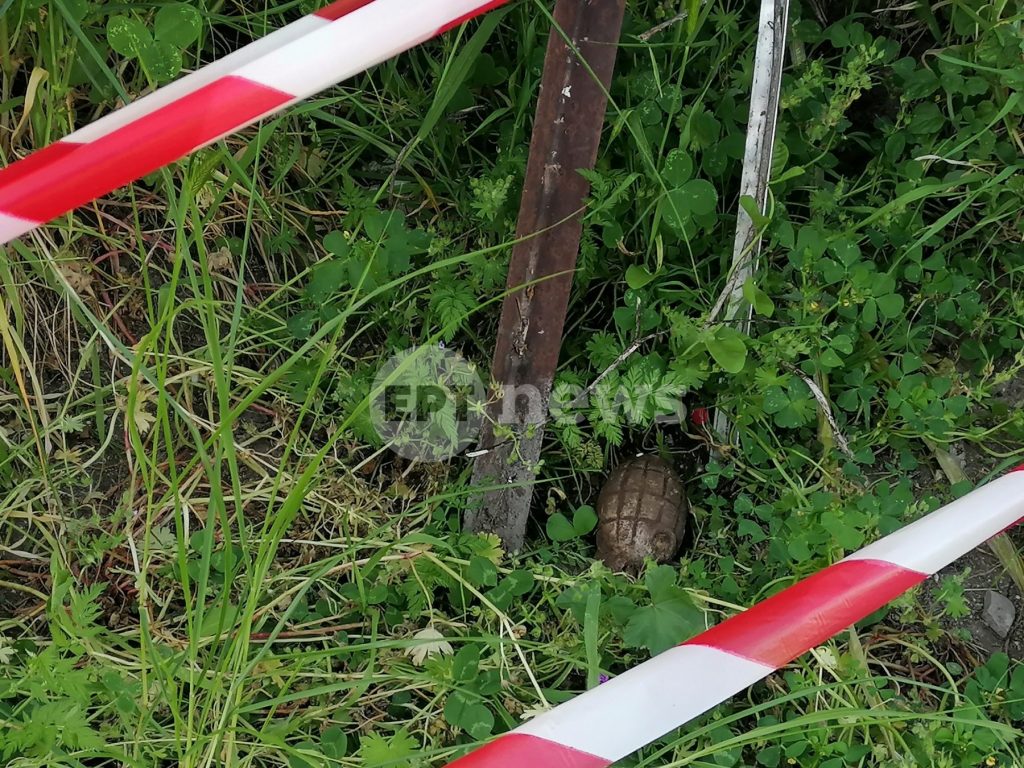 xeirovomvida logo.jpg