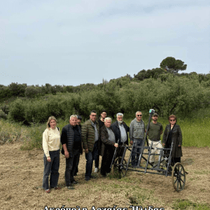 Ακρόπολη Αρχαίας Ήλιδας Α.Π.Θ. Γεωφυσική Διασκόπηση 20260418 145038 0000