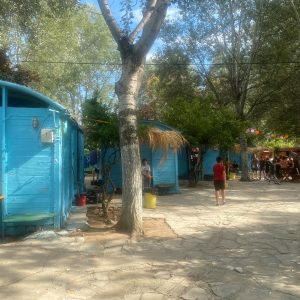 26076996.jpg