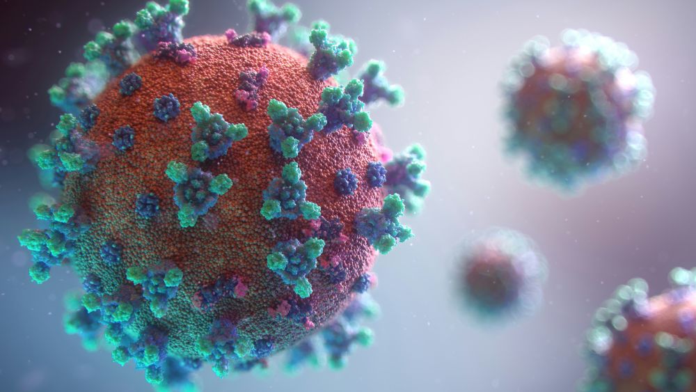 fusion medical animation rnr8D3FNUNY unsplash 2.jpg