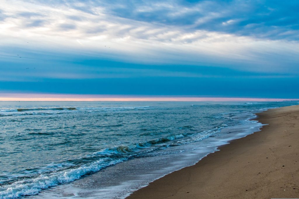 paralia