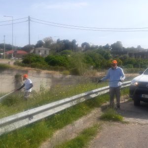 psekasmoi kounoupia