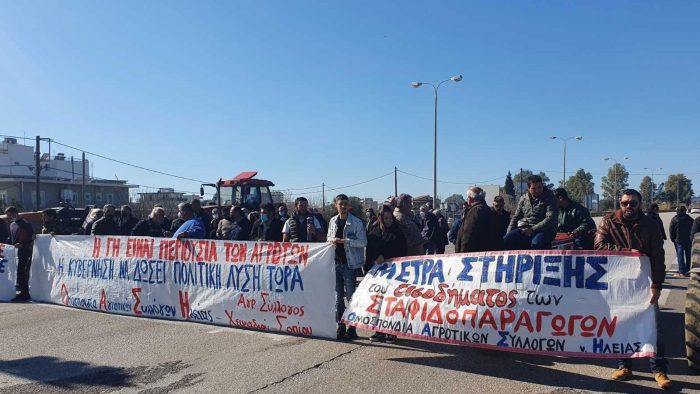 ομοσπονδια αγροτικων συλλογων ηλειας omospondia agrotikon sullogon hleias iliasσ