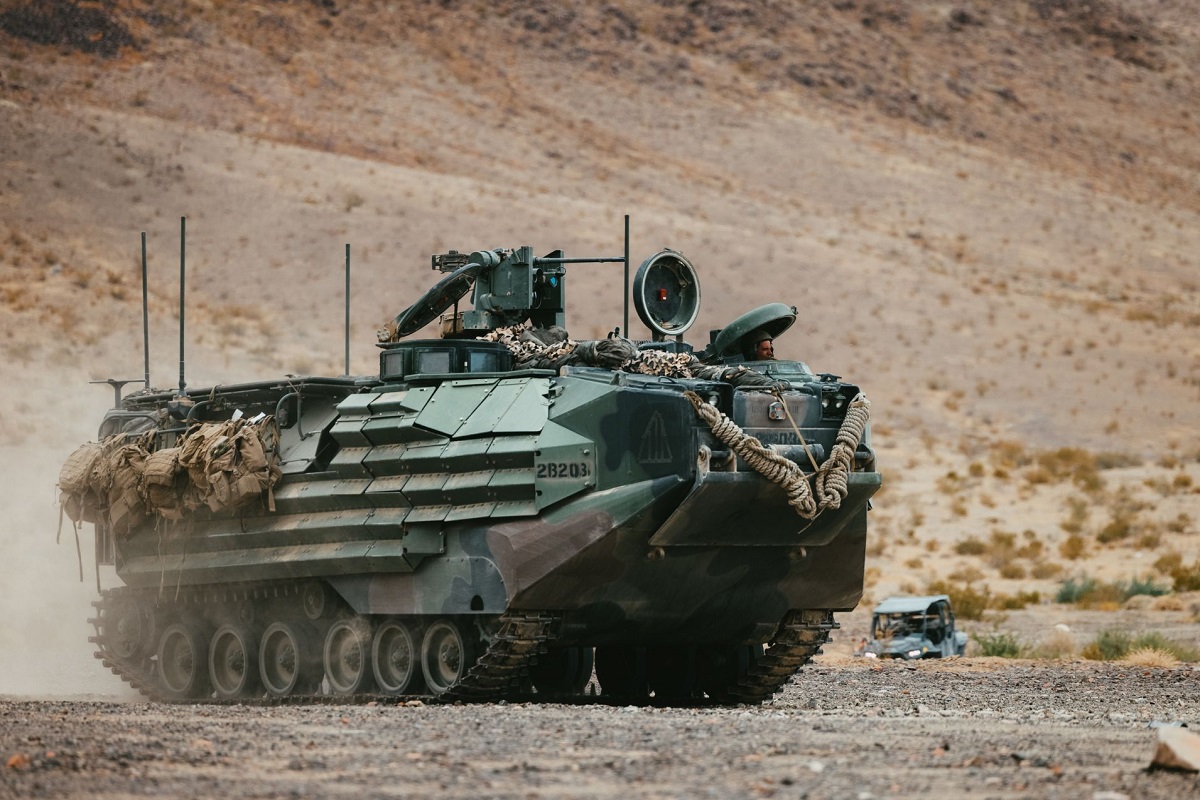 aav7.jpeg