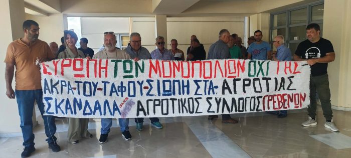 agrotes grevena.jpg