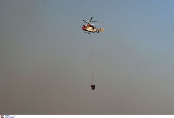 fwtia 5.jpg
