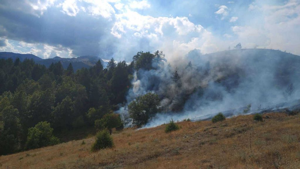 grevena fotia.jpg