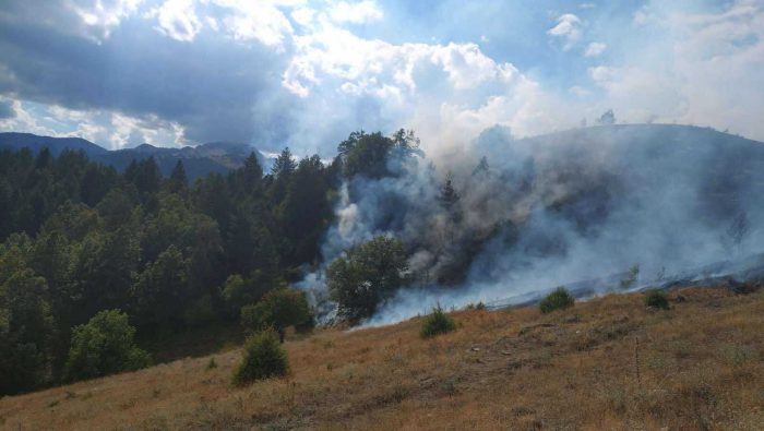 grevena fotia.jpg