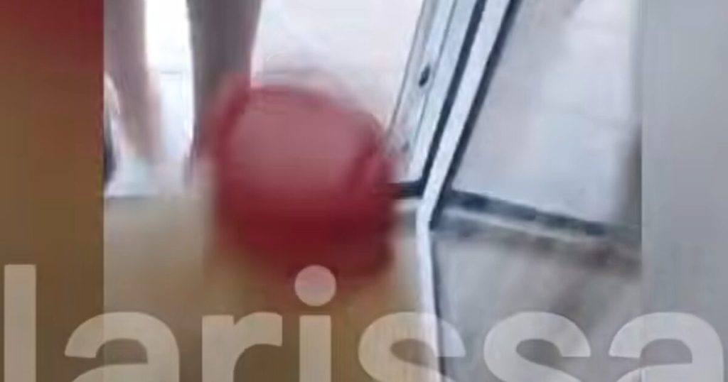 larisa 2 1200x630.jpg