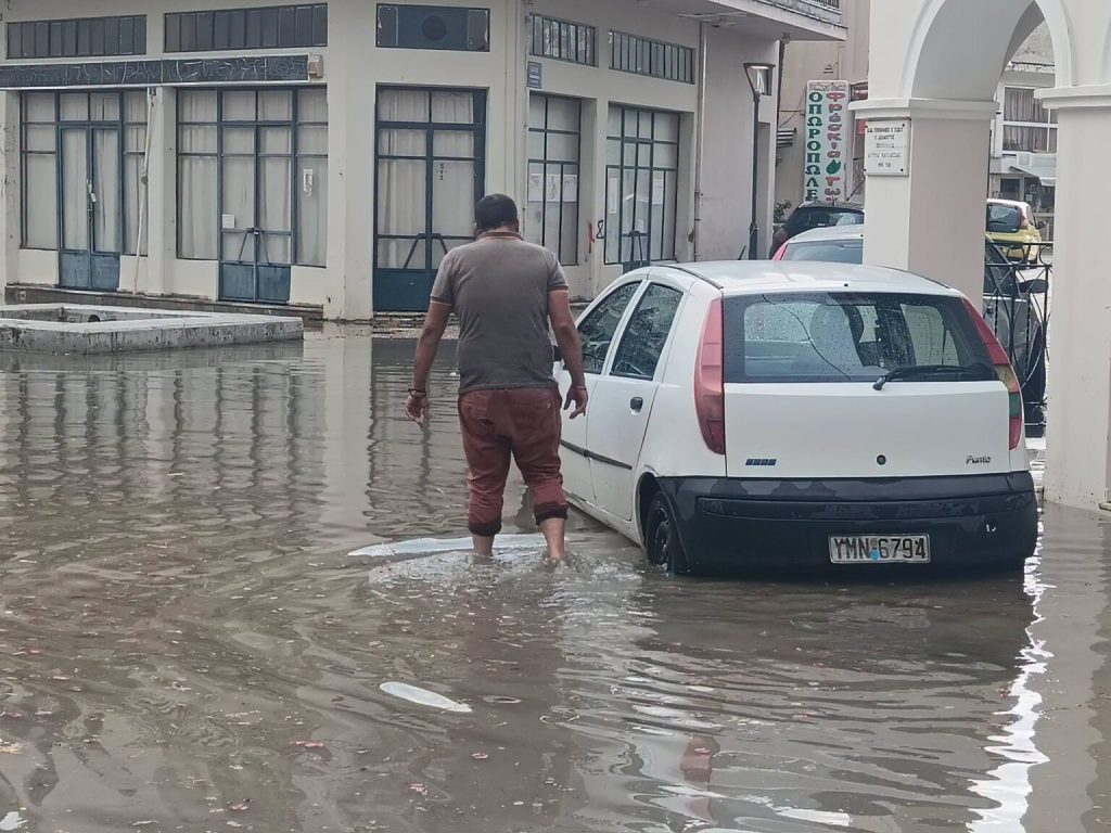 lexaina migkos fb plimires (2)