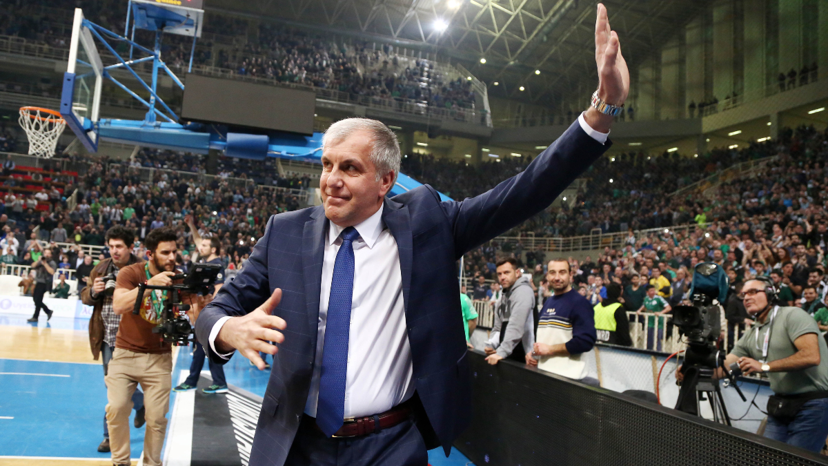 obradovic 2.jpg