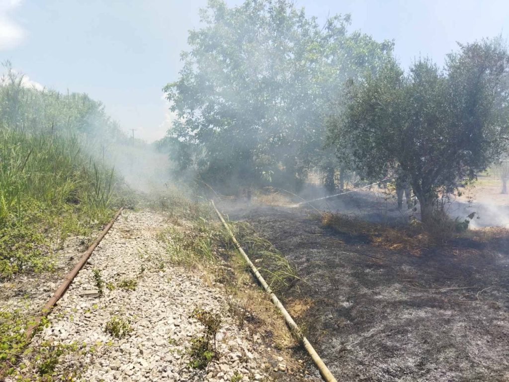 pyrkagia 2.jpg