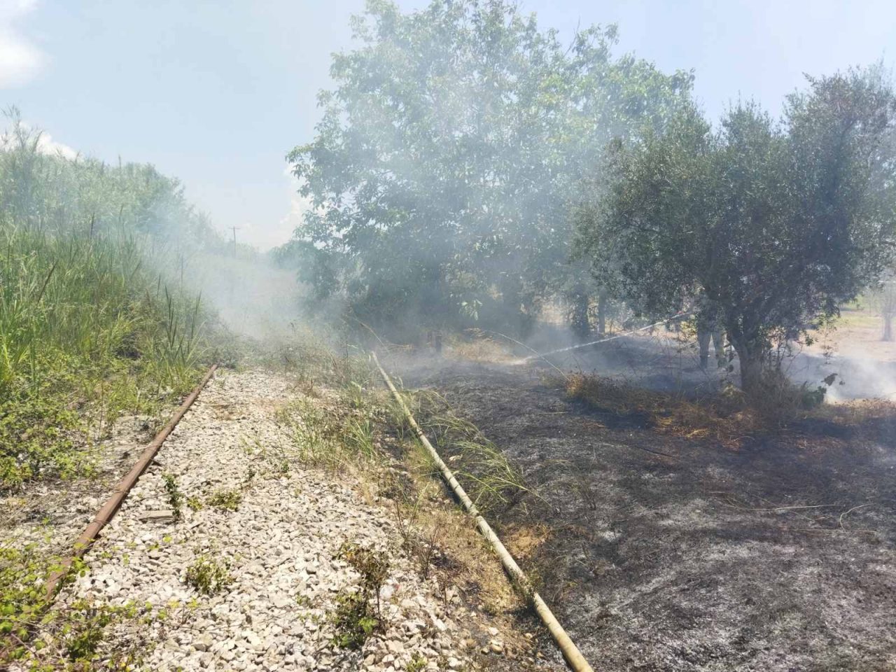 pyrkagia 2.jpg