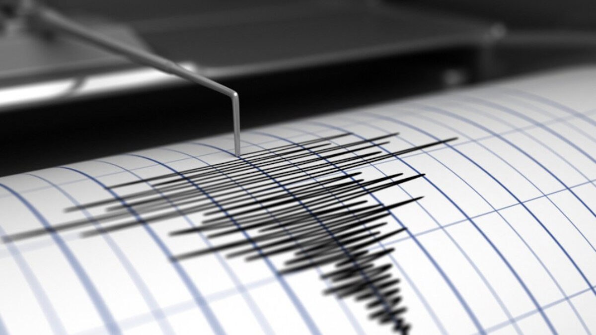 seismografos 5 1200x675 1.jpg