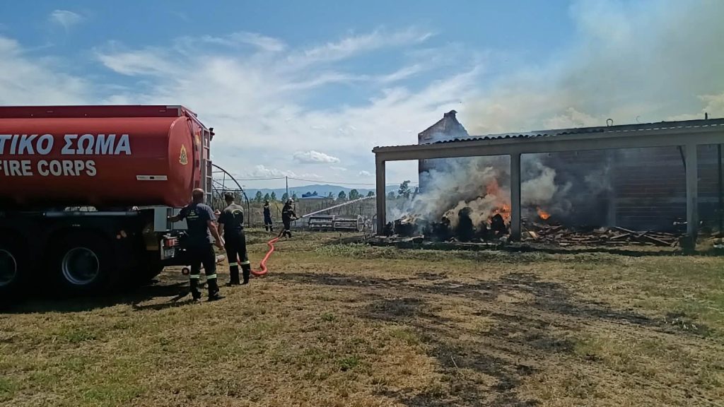 serres fotia ex.jpg