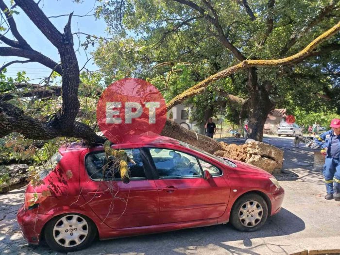 dentro tragano pyrgoy 2 1.jpg