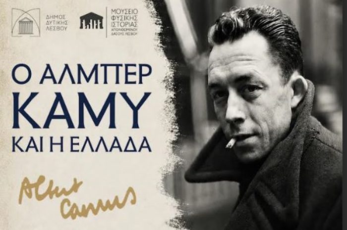 kamy.jpg