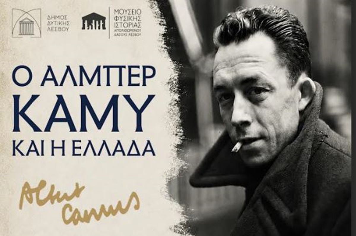 kamy.jpg