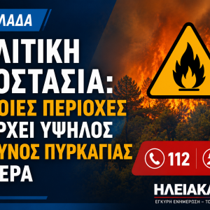 politiki prostasia kiniunos pyrkagia shmera iliakanea