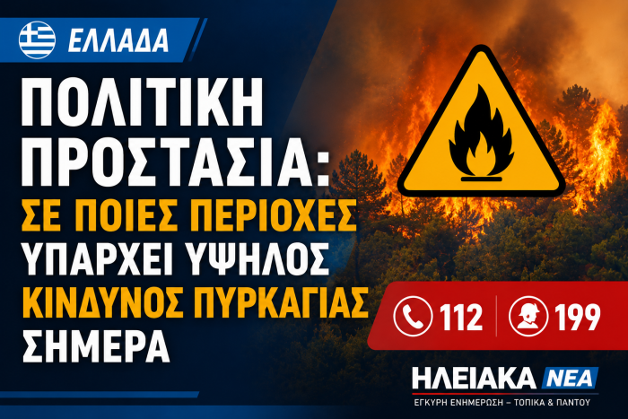 politiki prostasia kiniunos pyrkagia shmera iliakanea