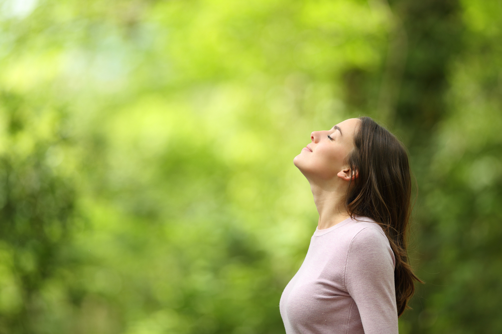shutterstock 1962372739.jpg