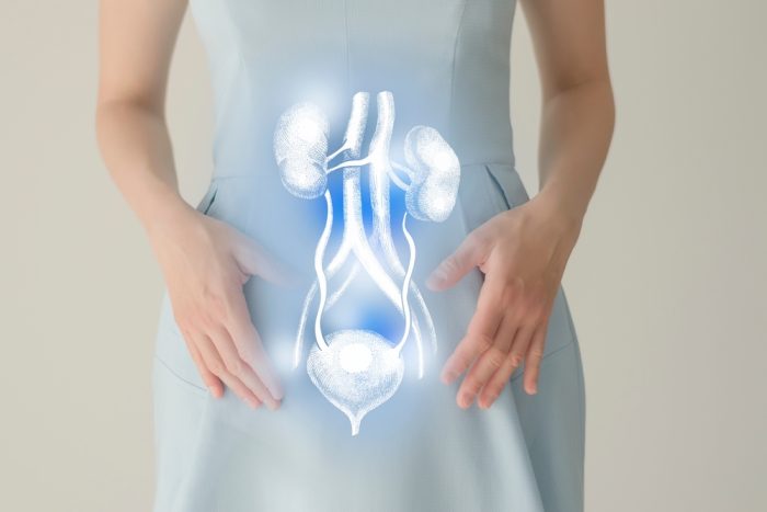 shutterstock 2133679261.jpg