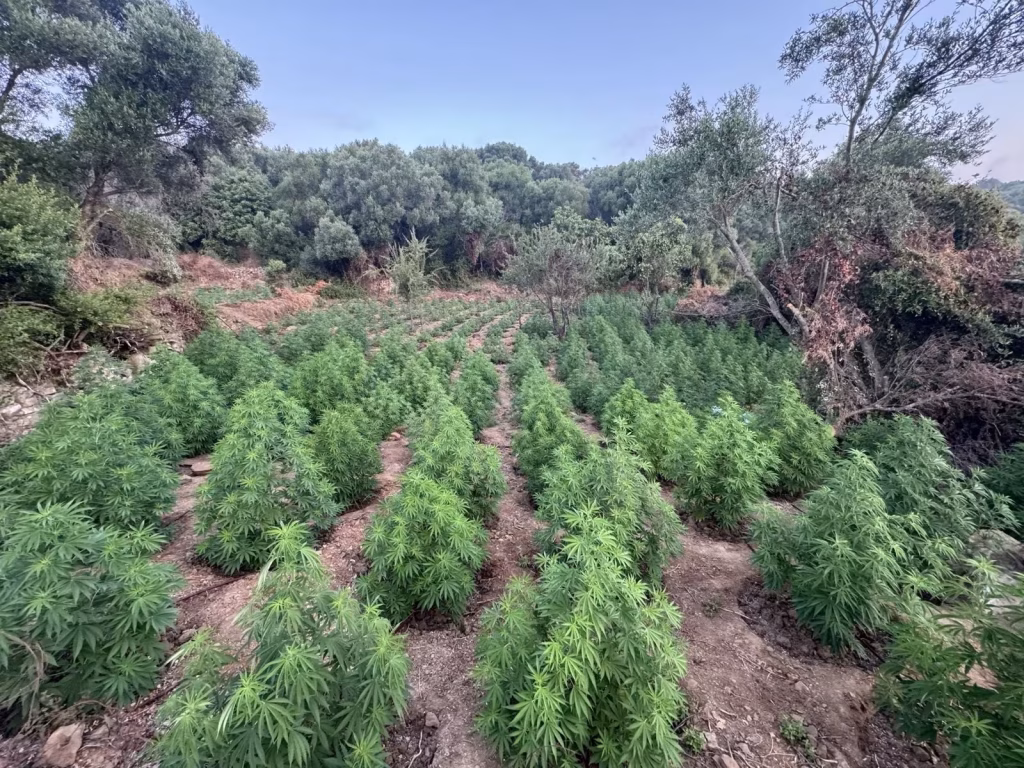 xasisofuteia kalamata 1.jpg