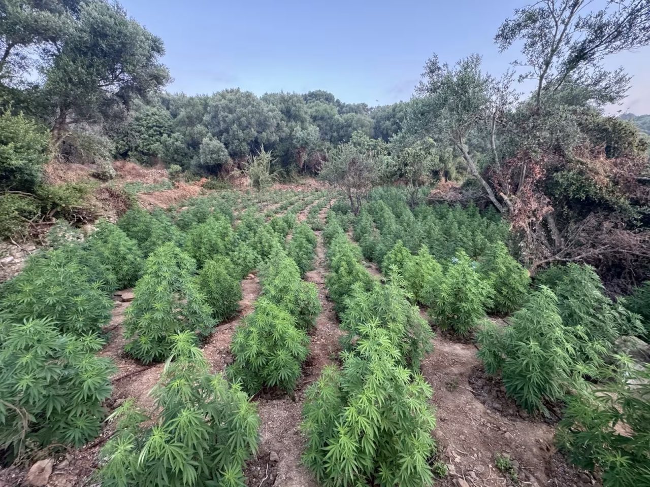 xasisofuteia kalamata 1.jpg